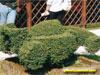 Eco F1